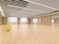 Service de conception acoustique tout-en-un pour salles de classe, bibliothèques, salles d'activités, studios de danse, salles de musique, ateliers d'art et décoration