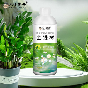 น้ำยาบำรุงพิเศษต้นไม้เงิน บาเกลอตู 300 มล. อาหารพืชชนิดน้ำ - Product Image 1