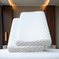 Oreiller Orthopédique Hybride en Mousse à Mémoire de Forme Écologique pour Hôtel, Appartement, Villa – Doux, Compressé Sous Vide pour Chambre à Coucher