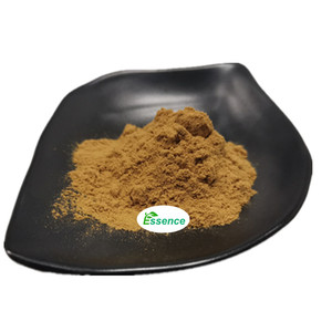 Doğal bitki özü Butterbur özü 10:1 Petasites japondus özü Petasites Japonicus özü Petasin 15% - Product Image 1