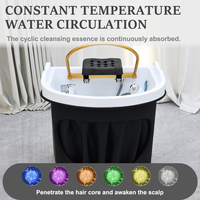 Bac de lavage capillaire professionnel pour salon de beauté et spa avec vaporisateur, portable, sans plomberie, connecteur pour lit de thérapie capillaire