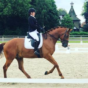 Impugnatura spessa Full Seat Silicone competizione da <span class=keywords><strong>donna</strong></span> colore bianco pantaloni da equitazione calzamaglia da <span class=keywords><strong>cavallo</strong></span> Leggings abbigliamento equestre - Product Image 5