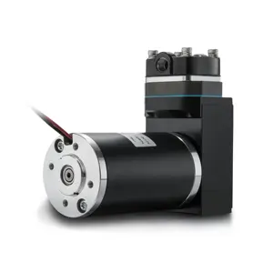 Pompa a vuoto gas Fluidsmart 10bar ad alta pressione 15L/min 12v/24v in acciaio inox dc pistone micro pompa ad aria - Product Image 1