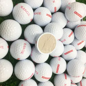 골프 공 판촉 OEM 인쇄 스포츠 맞춤형 로고 조각 고무 놀이 2 층 연습 공