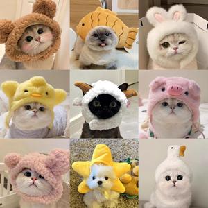 أزياء الحيوانات الأليفة من المصنع، قبعات وملابس دافئة للقطط، أغطية رأس للحيوانات الأليفة لجميع المواسم، قبعة قطط مخملية لطيفة على شكل دب - Product Image 2