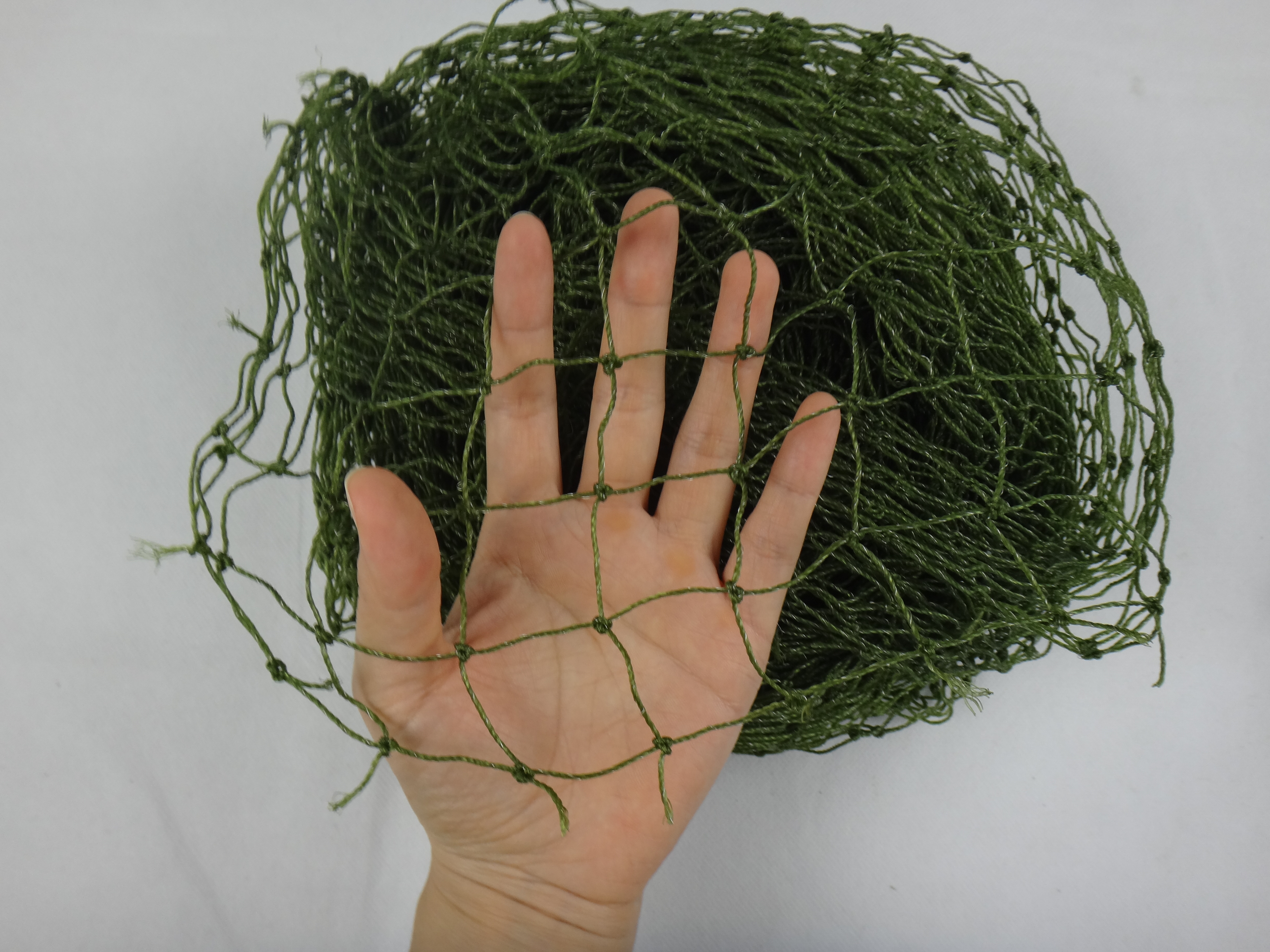 Oliver verde