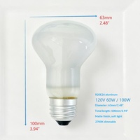 Ampoule chauffante isolante en aluminium et laiton 120V 60W R20 E26 pour machine à popcorn, à intensité variable