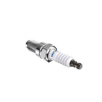 Remplace NGK 4929/DPR8EA-9 5829/DP8EA-9 2120/D8EA 7162/DR8EA pour TORCH D8TC D8RTC ou Autolite 4163 XS4163