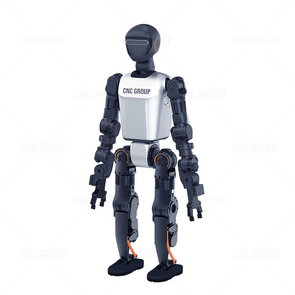 New Humanoid Robot 2025 AI-Powered Commercial Robot