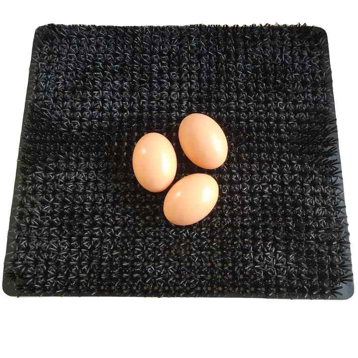 Lot De 10 Tapis De Nid Pour Poules En Fibre De Coco - 30x30 Cm - Réutilisables Et Lavables