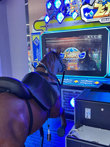 Dragon Knight à pièces 2 joueurs Simulation Arcade Sport 220V Construction en bois en métal Machine de jeu de course de chevaux de boxe - Product Image 6