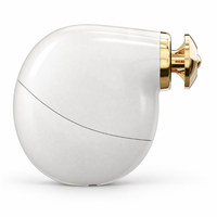 Mini pistolet de massage de poche avec tête dorée et poignée arrondie, masseur musculaire portable pour la maison, le bureau et les voyages
