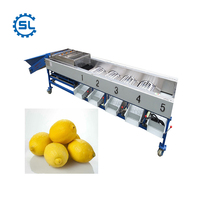 Hoogwaardige fruit sorteermachine speciaal voor appel, citrus, sinaasappel, citroen, automatische sorteermachine op basis van formaat