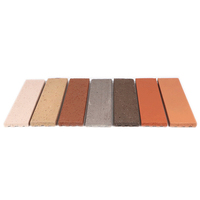 Brique à face fendue durable 240*60mm en argile naturelle pour revêtement mural extérieur et façades commerciales et résidentielles