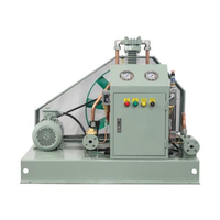 Compresseur d'air à deux étages 15mpa respectueux de l'environnement Meilleure vente Compresseur d'air à moteur stationnaire diesel 5000 Psi 10 20 bars