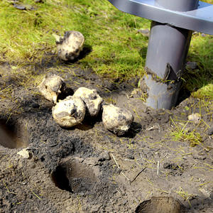 Adatto per Bloomers primaverili e bulbi da fiore che piantano fioriera multifunzionale efficiente e piantatrice di lampadine - Product Image 1