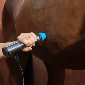 Thú Y Sw-200 sốc điều trị bằng sóng thiết bị cho Horse Dog khớp Giảm đau và chấn thương phục hồi - Product Image 5
