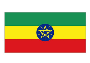 Ventes directes d'usine drapeau éthiopien 3ftx5ft drapeaux nationaux éthiopiens polyester avec œillets en laiton drapeau de pied - Product Image 3