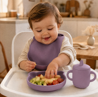 Ensemble cadeau pour bébé en silicone, ensemble d'alimentation pour bébé, assiette, bol, bavoir, cuillère, tasse, qualité alimentaire, logo personnalisé, emballage de vente au détail pour les détaillants