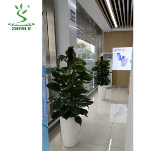 Vente en gros Offre Spéciale Pots de fleurs colorés en plastique de haute qualité, double couche, moule de jardinière d'extérieur - Product Image 1