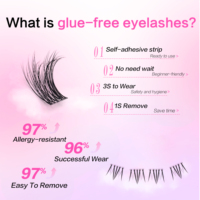Kit d'assortiment de clusters de cils de styles variés, comprenant des cils effilés/volumineux/délicats avec des cils inférieurs, OEM disponible