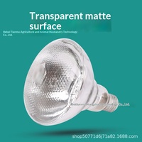Lampe chauffante et ampoule chauffante pour veaux, moutons, porcelets, poussins et usage agricole