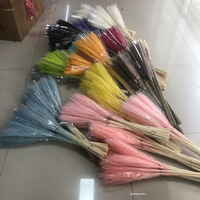 Mini Flauschiges Beige Pampasgras Getrocknete Blumen 60-65cm für Heimdekoration Muttertag & Weihnachten