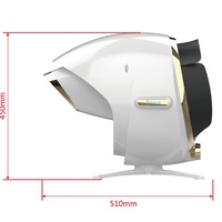 Machine d'analyse cutanée numérique en gros pour usine, Miroir Magique, Scanner Facial 3D IA, Appareil d'analyse cutanée