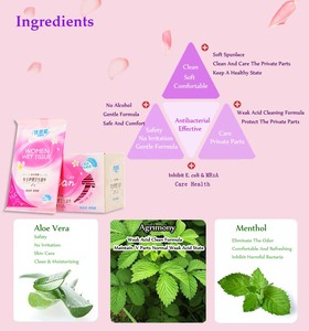 Toallitas Húmedas Femeninas al por Mayor, 10 Unidades, Esencia Herbal de Agrimonia, Agua Pura, pH Balanceado, Sin Alcohol, Portátiles, para el Cuidado Femenino - Product Image 1