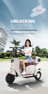 Triciclo Eléctrico de Alta Potencia, Seguro, de Dos Plazas, para Personas Mayores y Mujeres - Product Image 1