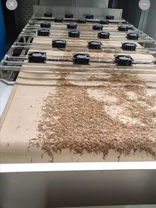 Pet takviyeleri yem katkı maddeleri kediler için kurutulmuş Mealworm yüksek Protein % 100% doğal ortak sağlık - Product Image 5