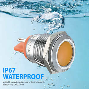 16mm Pin LED Metal Indicatorlamp Waterdichte Indicatorlampen 12V 24V Indicatorlampen YIIA Pilotlamp - Product Image 2