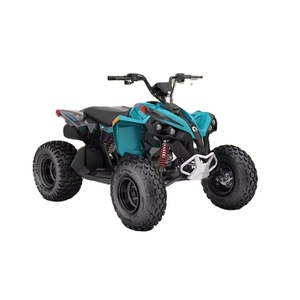 รถเอทีวี Renegade 110 EFI รุ่นใหม่ ปี 2026 ทรงพลัง พร้อมระบบขับเคลื่อนเพลาอัตโนมัติ - Product Image 1