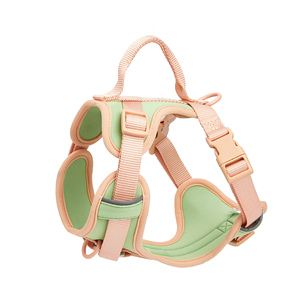 Rompi Harness anjing kucing poliester dapat diatur, rompi nyaman warna-warni gaya taktis dengan pegangan pola polos lucu - Product Image 5