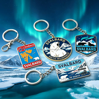 Llavero de Metal Ecológico con Logotipo Personalizado al por Mayor, Diseño de Dibujos Animados, Temática Ártica de Svalbard, Oso Polar, Luces del Norte, Regalos