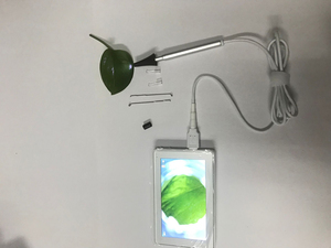 كاميرا طبي بصرية ذكية للعناية الشخصية بالمنزل كاميرا طبي بصرية لتنظيف الأذن مزودة بواي فاي كاميرا تصوير بصرية لإزالة شمع الأذن جهاز طبي بصري لإزالة شمع الأذن - Product Image 2