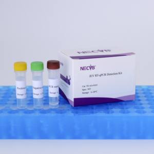 Kit de test qPCR rapide pour les étranglements (S. equi) chez les animaux équins-Haute sensibilité et spécificité - Product Image 1
