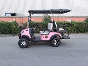 Voiturette de <span class=keywords><strong>golf</strong></span> rose à 4 places, homologuée pour la route, entretien facile, pour les parcs, les attractions touristiques, les terrains de <span class=keywords><strong>golf</strong></span>, les centres d'exposition - Product Image 5