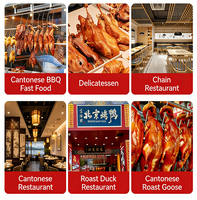 Four à rôtir le canard chinois commercial à succès, four à canard BBQ, mini four à canard, four à gaz propane