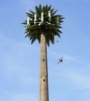Torre de Comunicación Junhao Estética Camuflada Tipo Monopolo Biónico con Antena de Acero Angular para Telecomunicaciones Urbanas