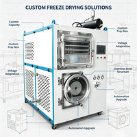 Multifunctionele vacuümvriesdroger voor fruitchips, bessen, groenteverwerking, industriële lyofilisatie droogmachine