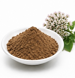 Extrait de Valériane en Poudre de Qualité Alimentaire Séché par Pulvérisation MANHAY - Product Image 1