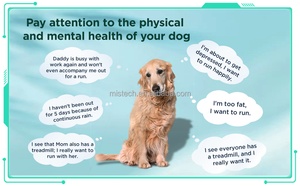 मैनुअल मोशन डॉग ट्रेनर - Product Image 3