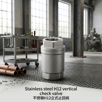 Vanne de contrôle verticale H12 en acier inoxydable, à ressort, filetée, OEM, manuelle, pour eau, huile, gaz, 1/2"-2" BSP NPT PN16
