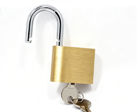 Cadenas en laiton massif de qualité industrielle, haute sécurité pour portail et porte, avec clé passe-partout, logo personnalisé, certifié CE