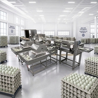 Machine de calibrage et de pelliculage des œufs de cane en acier inoxydable de qualité alimentaire pour ligne de traitement des œufs destinée aux usines d'œufs conservés