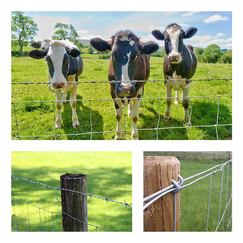 Çin üretici toptan sığır/koyun/çiftlik/alan/geyik tel örgü çit galvanizli otlak çit