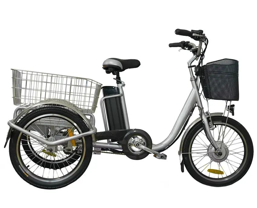Sıcak satış 36V 250W 350W E Trike Tuk elektrikli Tuk tuk motorsiklet devirme özelliği akıllı elektronik tip güç kaynağı lityum pil