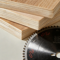 Mata Gergaji Industri 300mm 96T TCT Karbida Dilas Laser Berlapis Krom 30mm Arbor Presisi Tinggi untuk Panel Kayu, Kayu Lapis, Chipboard OEM