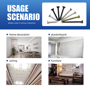 Tornillos para Placas de Yeso de Venta Directa de Fábrica, Varios Tratamientos de Superficie y Tamaños Disponibles para Personalización - Product Image 5